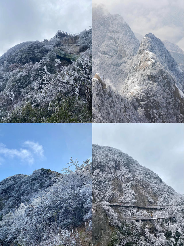 湖南郴州|不來後悔廣東最佳賞霧凇地