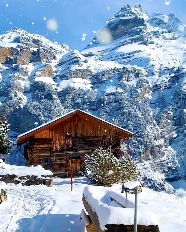 Snowy Escapade in the Swiss Alps ❄️🏞️