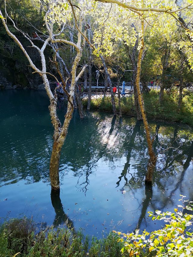 吉林長白山-綠淵潭