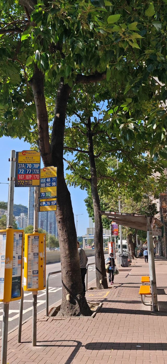 【暴走香港】從又一城到香葉道，打卡金華冰廳菠蘿包～