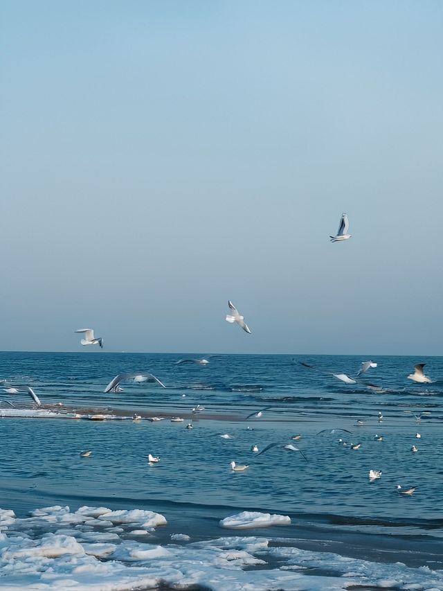 河北秦皇島 | 冬季的景色美出天際堪稱一絕 河北秦皇島 | 冬季的景色美出天際堪稱一絕