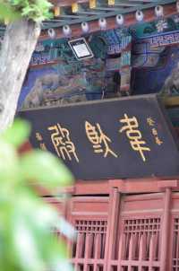 禮拜玄中寺