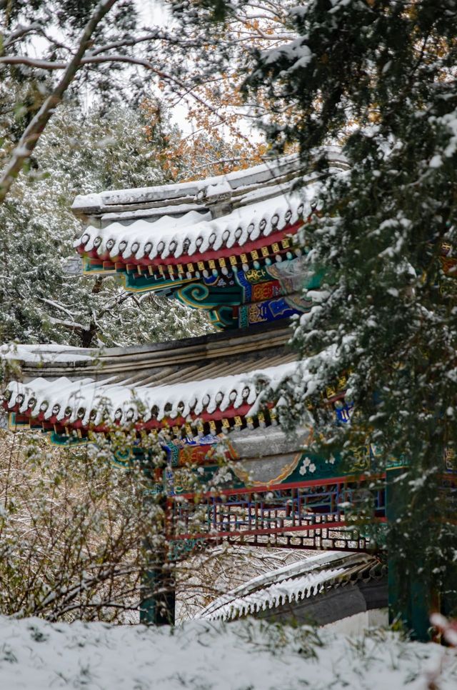 北海公園雪中遊