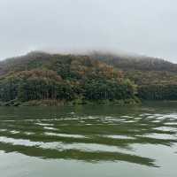 休閒遊，勐臘縣望天樹熱帶雨林國家公園