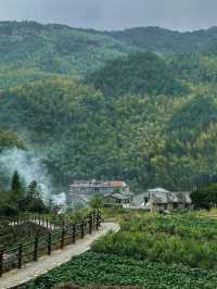 縉雲仙都 || 神仙紮堆在這修煉還是有道理的