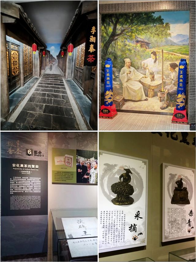 安化中國黑茶博物館，探尋黑茶文化！