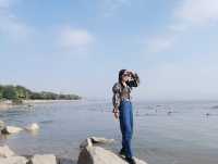 冬日浪漫——約會深圳灣公園