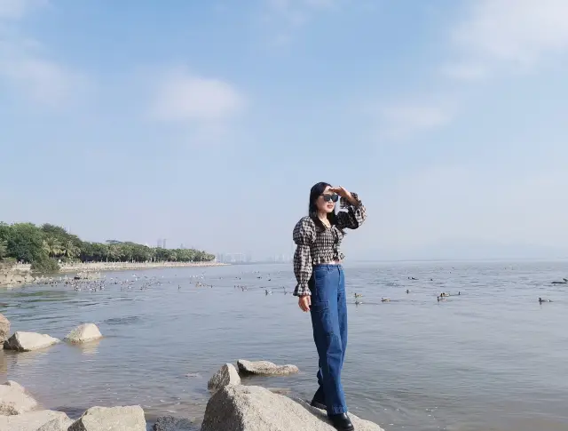 冬日浪漫——約會深圳灣公園