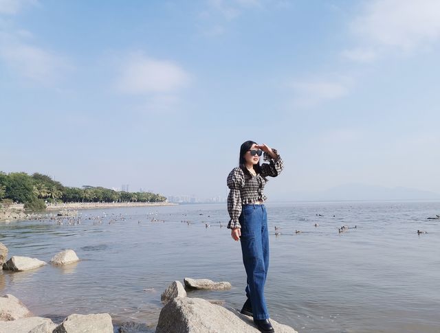 冬日浪漫——約會深圳灣公園 冬日浪漫——約會深圳灣公園