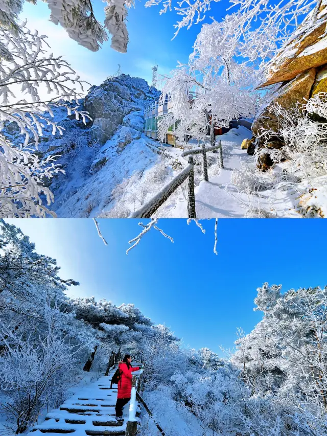 추천! 겨울에 가장 가치 있는 여행지! 아름다운 여행을 위해 체크인해야 합니다!