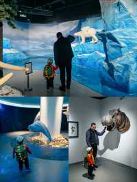 廈門親子旅遊：瀕危動物藝術館，尋一個地球夢