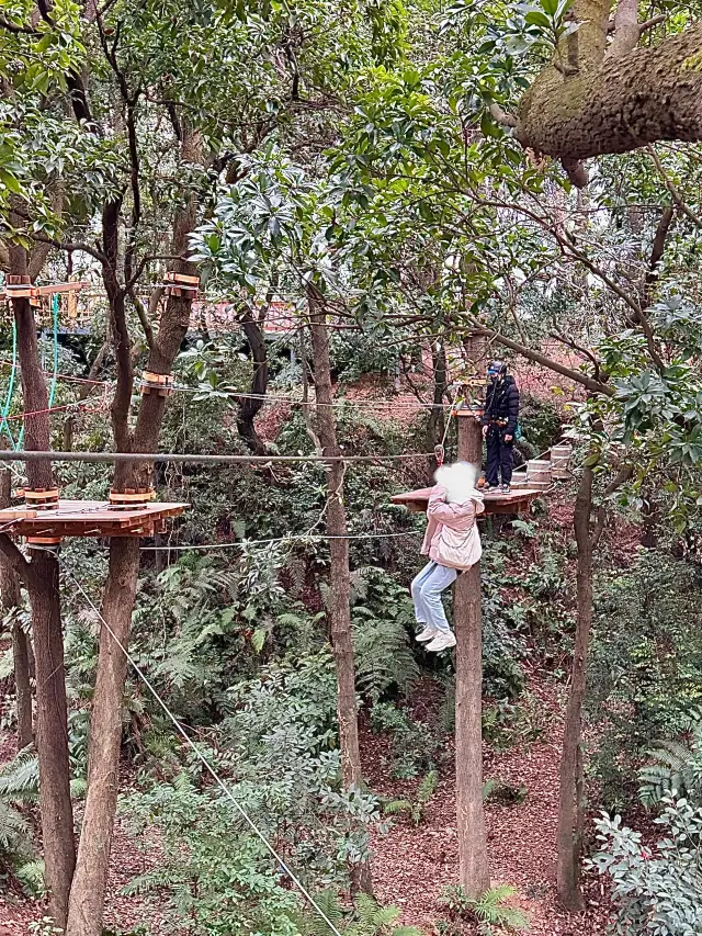 Experience a forest adventure relaxation on the New Year's holiday~