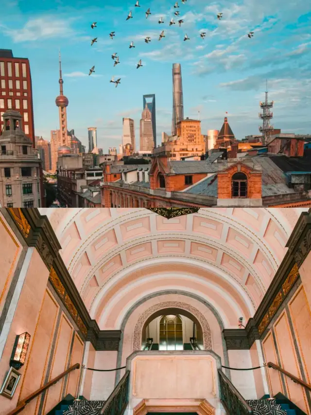 Shanghai Citywalk| Comprehensive 'Blossoms' Route Guide