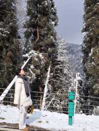冬日的快樂怎麼能少得了看雪