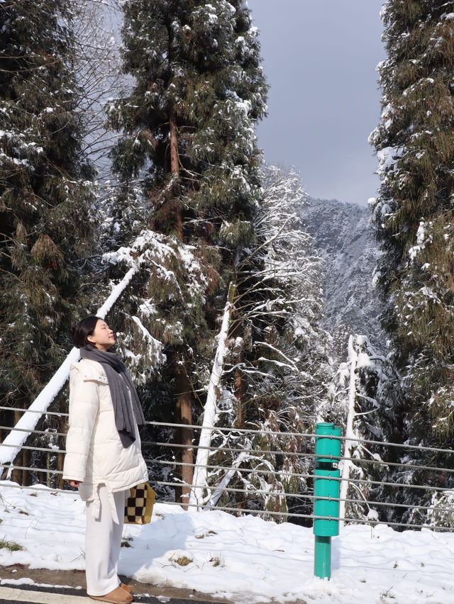 冬日的快樂怎麼能少得了看雪