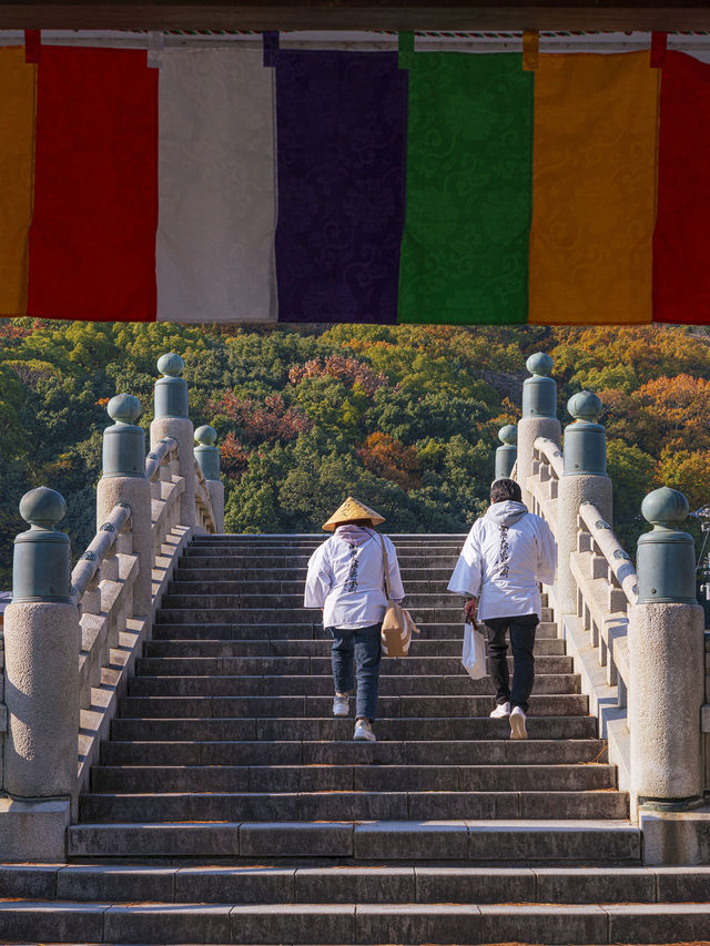 高松旅行善通寺