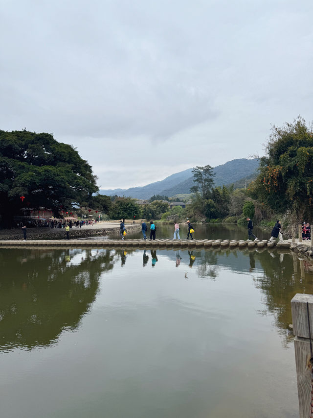 雲水謠土樓的坑終究還是踩到了