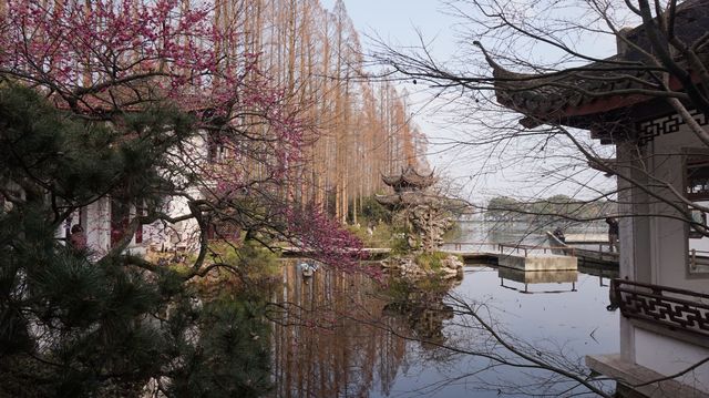 岳廟孤山，梅林夕照