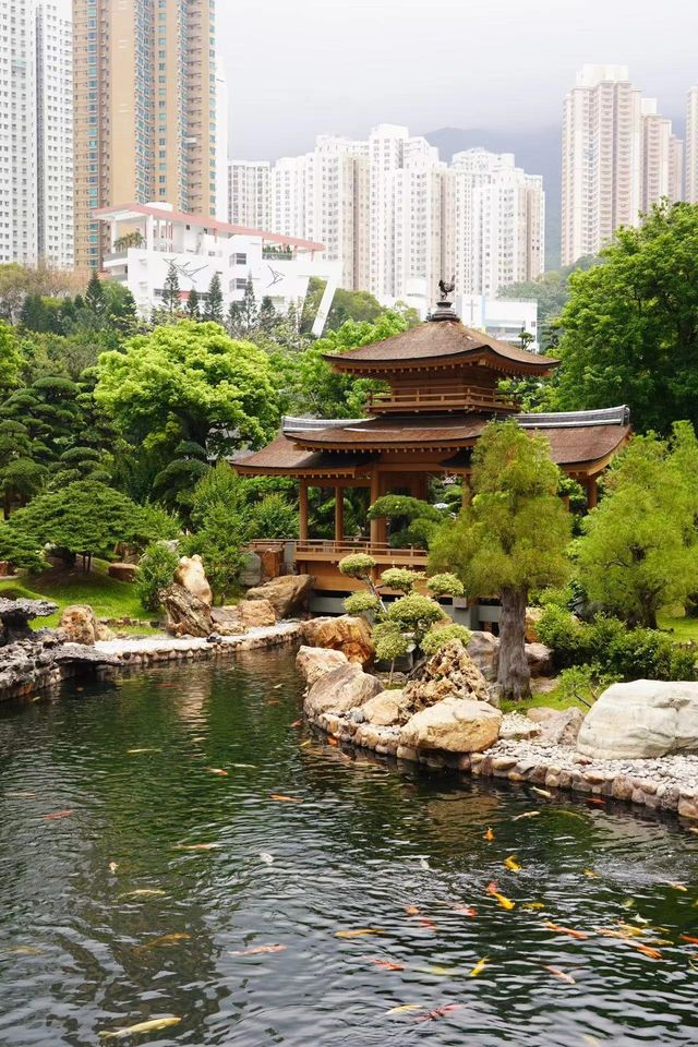帶閨蜜打卡香港唐風園池，拍照超出拍的！