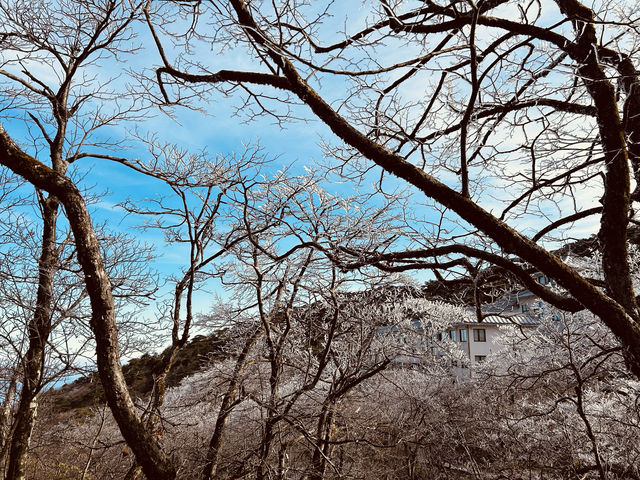 帶父母的四天三夜不勞累之旅