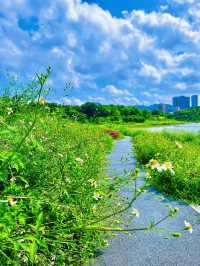 在這個公園裡能玩一下午……