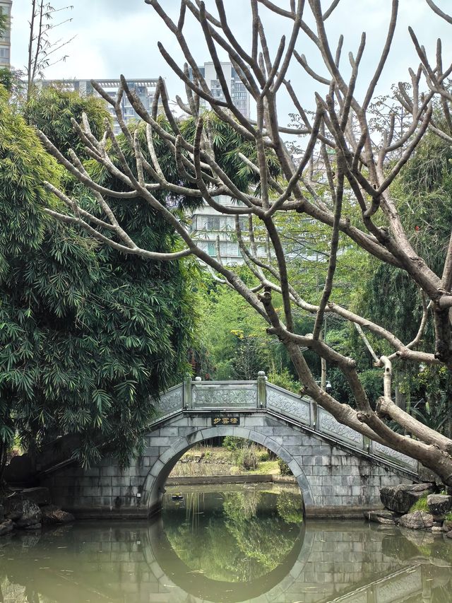 春分探春 ～ 福州茶亭公園