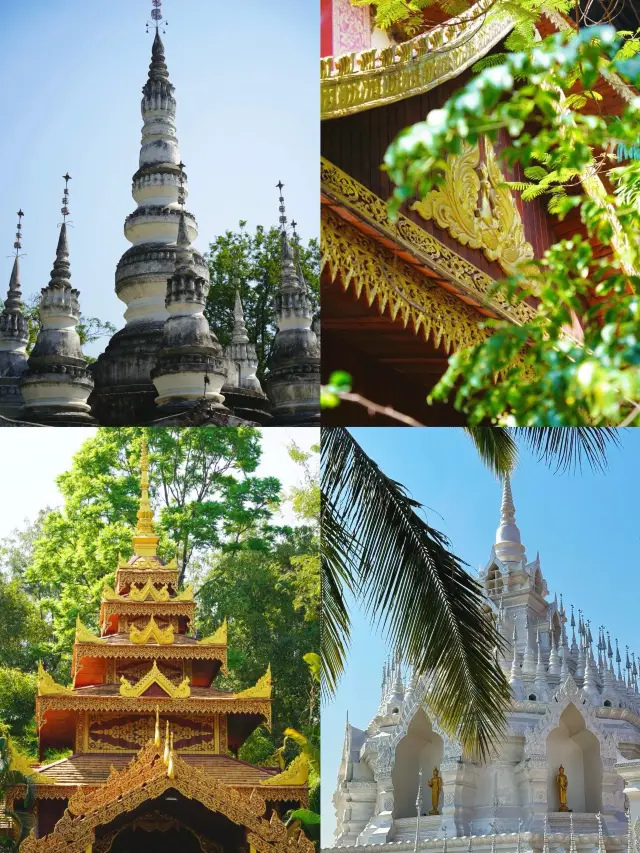 Escape the winter and enjoy the summer: Laid-back 3-day tour in Xishuangbanna|||