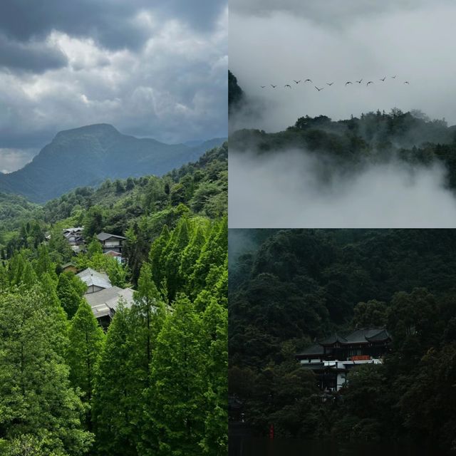 青城山 | 我見青山多嬌媚 青山見我應如是