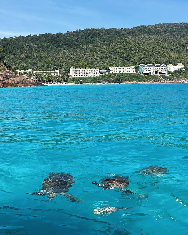 熱浪島、看海必去