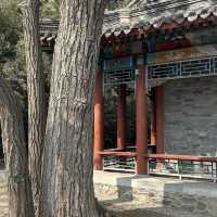 Feel fragrance of the nature in Beijing 