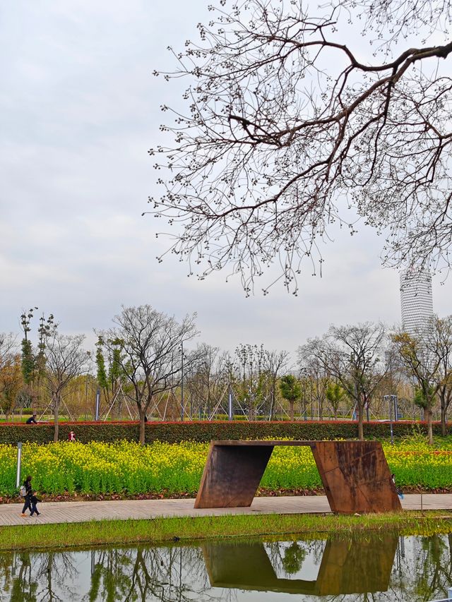 上海賞花｜後灘濕地公園油菜花開啦！