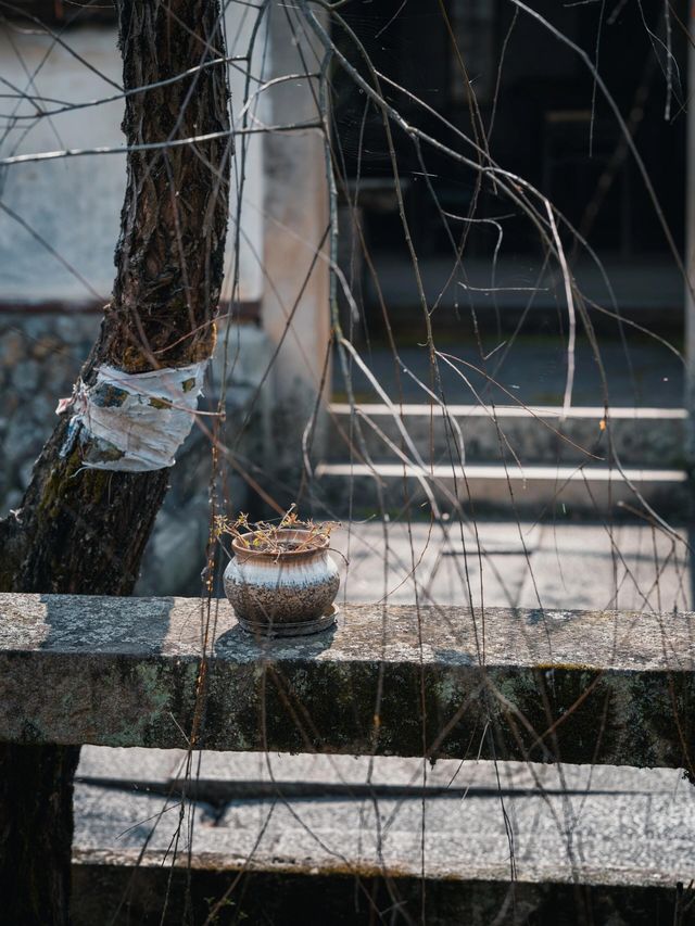 藏在泉州山村的古代書院