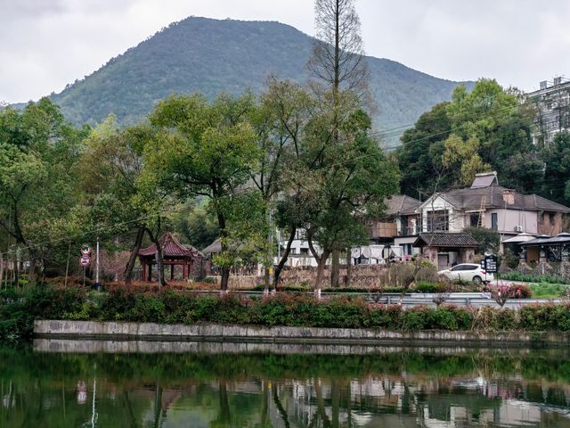 春日的莫干山，逍遙又自在