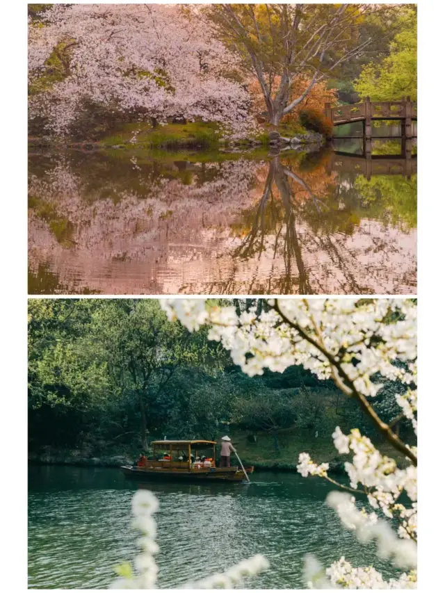 The upcoming Hangzhou is like this, it can be called the ceiling of romance