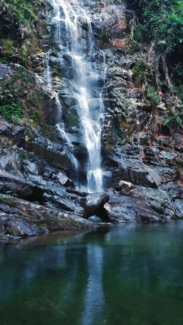 Is this place really worth visiting? It's like a natural oxygen bar