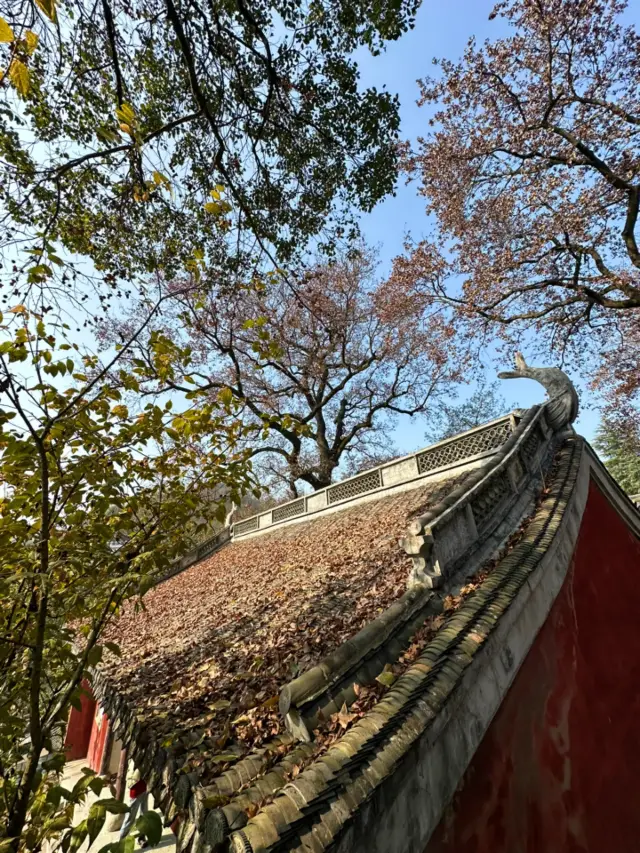 從杭州出發1小時，我找到了《蓮花樓》取景地