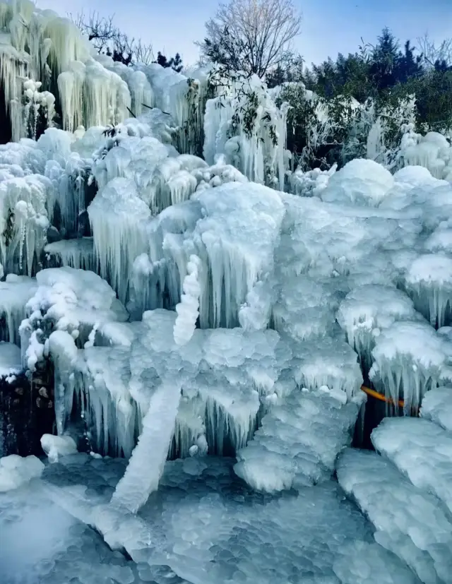 My Moments have been bombarded with questions, it's not the Northeast, it's Linyi, Shandong!