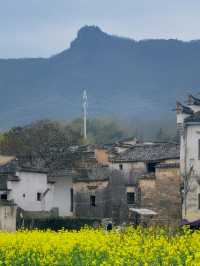 一條路線看遍屏山村