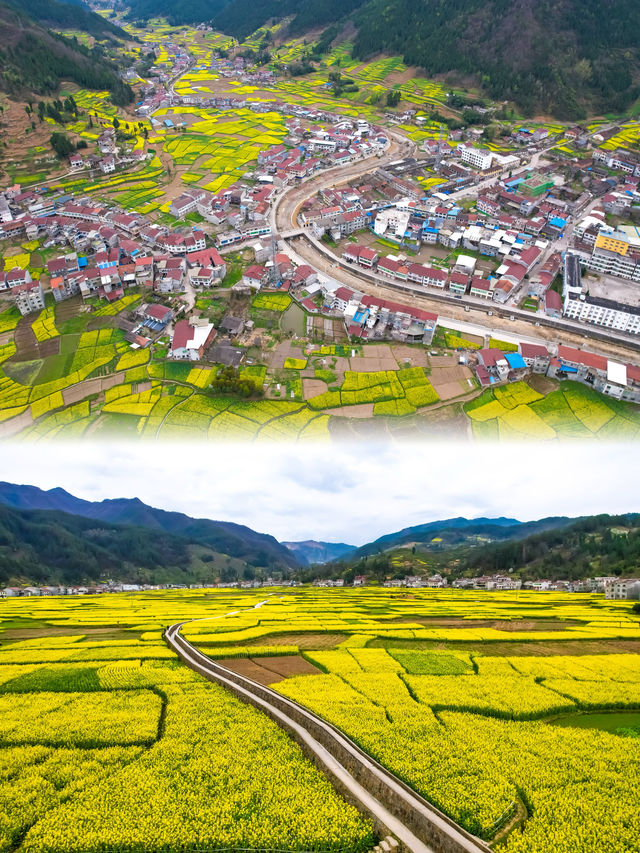 陝西旅行｜漢中油菜花賞花攻略之鹽場鎮