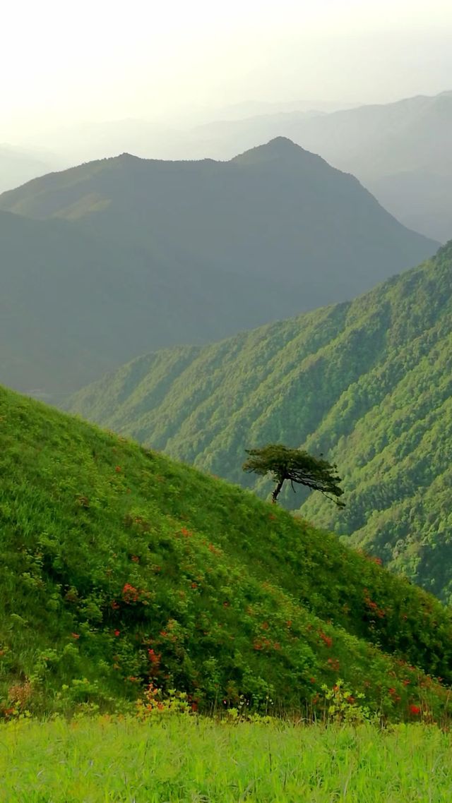 萍鄉武功山