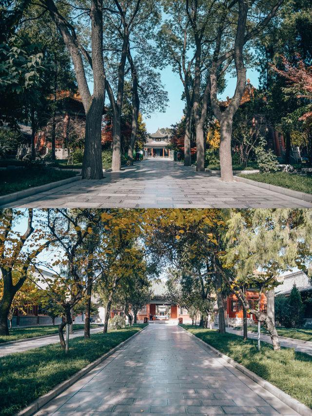 The Confucius Temple of the Tang Dynasty, now known as the Forest of Steles.