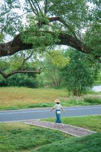 Spare the West Lake, please❗️Lianguzhu is the pinnacle of Hangzhou's autumn excursions🚶🏼‍♂️.