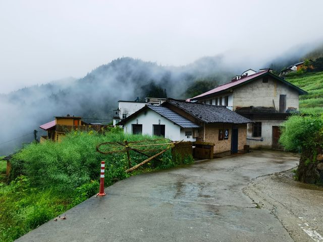 雲霧飄渺 仙氣十足 最美憶宿民宿