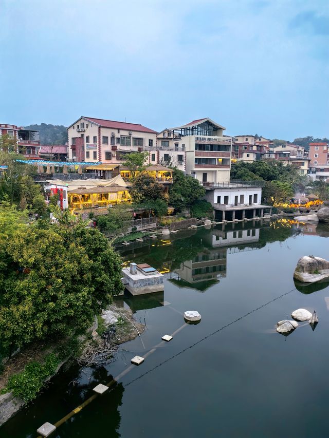 廈門旅遊｜這個小眾花海如今也不小眾了