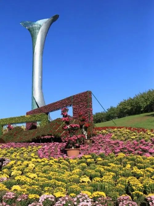 沈陽世博園賞花