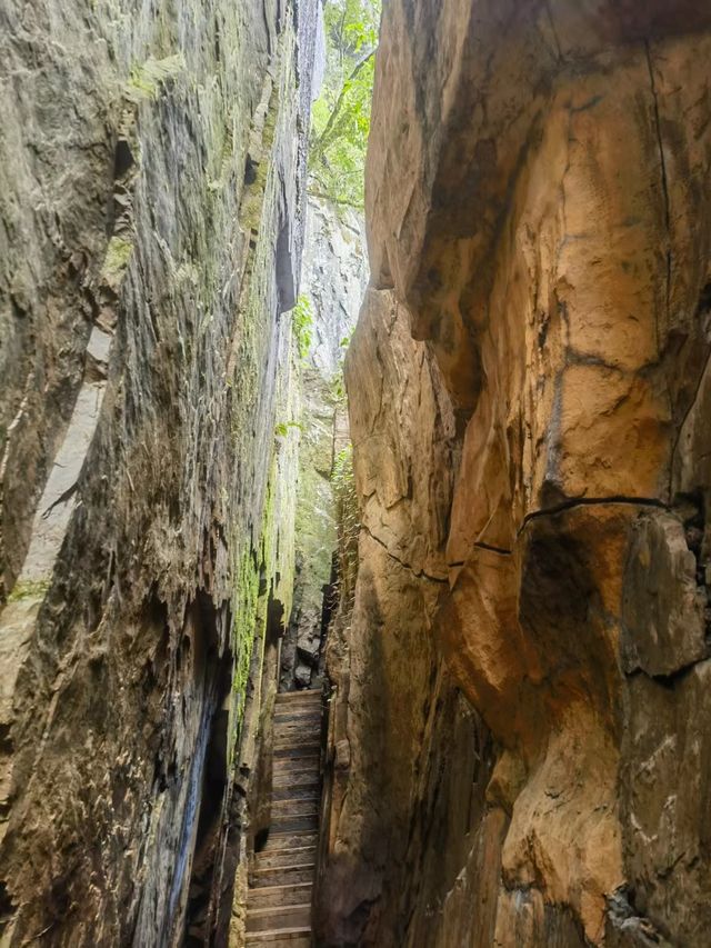泰順旅遊推薦