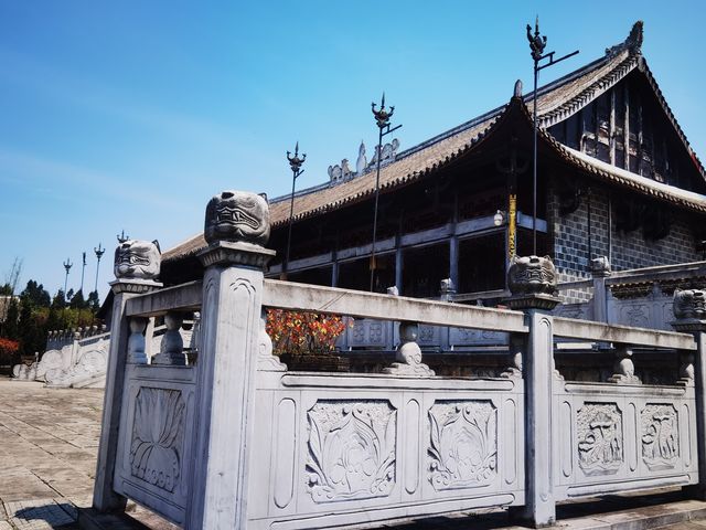 貴州百里杜鵑-大方縣一日遊