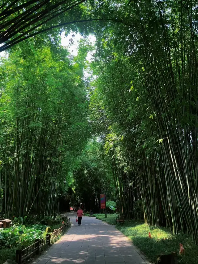 Before leaving Chengdu, make sure to visit this park!