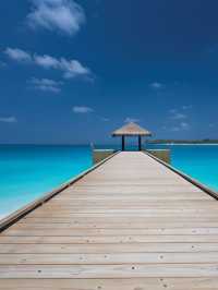 🌴🛎️ Maldives Magic: Top Hotel Picks at Lobigili! 🏖️✨