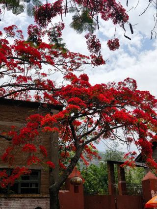 Luzhi Town: Encountering the brilliant blaze of a small town in time